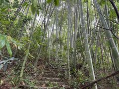 -千泷沟大瀑布旅游区
