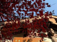 -杭州半山国家森林公园