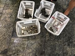 -范饭椰林川湘味海鲜·椰子鸡(三亚湾椰梦长廊店)