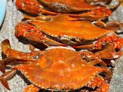 -和源祥·日照菜扛把子(万平口一店)