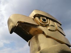 -大金鹰园