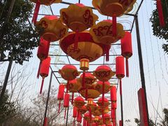 -武汉园博园(武汉自然博物馆)