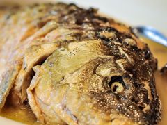 红烧黄河大鲤鱼-阿庄新豫菜(通泰路店)