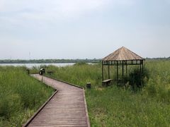 -西青郊野公园