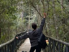 -龙湾潭国家森林公园