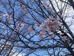 -轻井泽王子购物广场