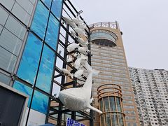 -大连圣亚海洋世界
