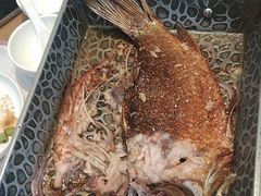 -哈啾嗨·蒙文化主题餐厅(京汉新城店)