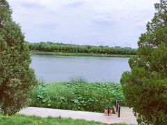 -素心小筑(后沙裕镇店)