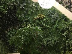 -郑州银基黄帝宫御温泉