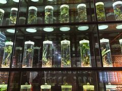 -广东中医药博物馆