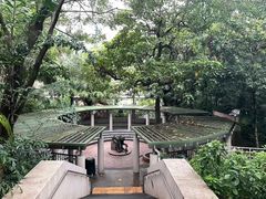 -九龙公园