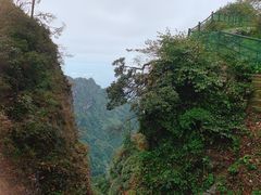 -峨眉山风景名胜区
