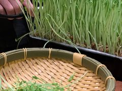 活体豌豆苗-捞王锅物料理(上海世茂广场店)