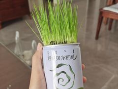 -红花点心局(护国寺店)