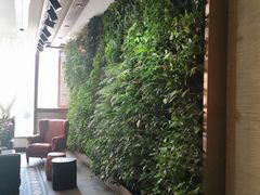 -泽云梵莲花足浴 按摩 SPA(滨湖店)
