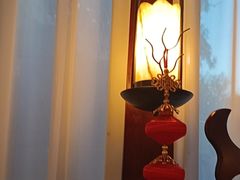 -鲁菜根·泰山菜(泰山店)