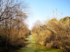 -溱湖国家湿地公园