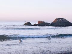 -老虎石海上公园