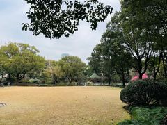 -申粤轩酒楼·三十年粤菜经典(丁香花园店)