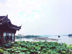 -茗醉园茶楼