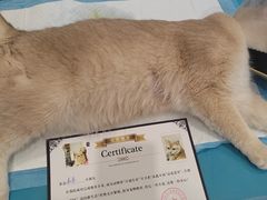 -美迦爱-牙专科·兔科·骨科诊疗中心(北苑店)