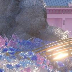 -凡碧诗毛孔收细