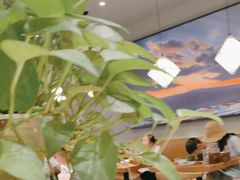 -云海肴·汽锅鸡·云南菜(广安门天虹店)