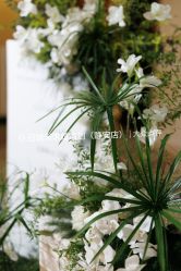 -迈瑞米求婚策划(静安店)