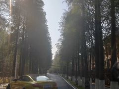 -南沙蒲洲花园