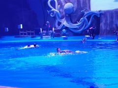 -华夏文旅海洋公园