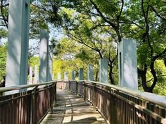 -宝界山林公园