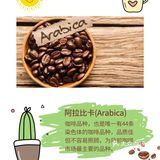 知识科普|10种咖啡术语,学点咖啡知识☕️