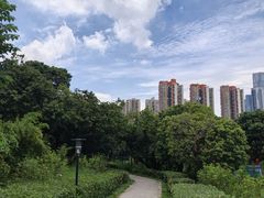 -月亮湾公园