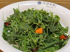 巧拌丝瓜尖-河沿肉饼Beijing Pie(锡拉胡同店)
