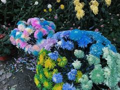 -沈阳植物园