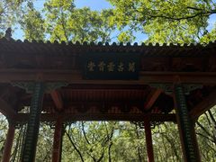 -武侯墓风景区
