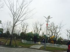 -八大山人梅湖景区