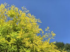-迎泽公园