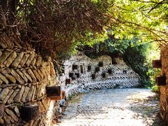 -深圳国际园林花卉博览园