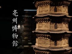-亳州博物馆