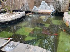 -吃货私房菜(丽江束河古镇店)