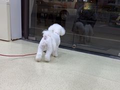 -萌兽医馆·宠物医院·猫骨科(创景店)