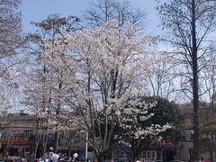 -堤角公园