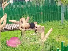 -沈阳森林动物园