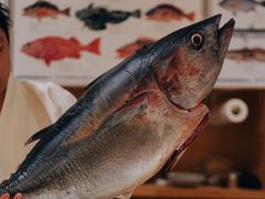 -镹·鱼料理  国产鱼使用店