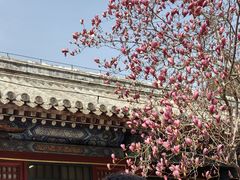 -潭柘寺景区