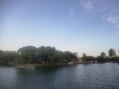 -月湖公园