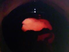 -蜀锦堂·川味现炒(襄阳武商汇店)