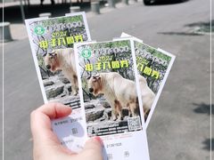 -秦皇岛野生动物园